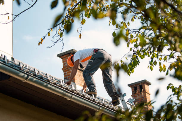Best Residential Roofing Contractor  in Decatur, TN