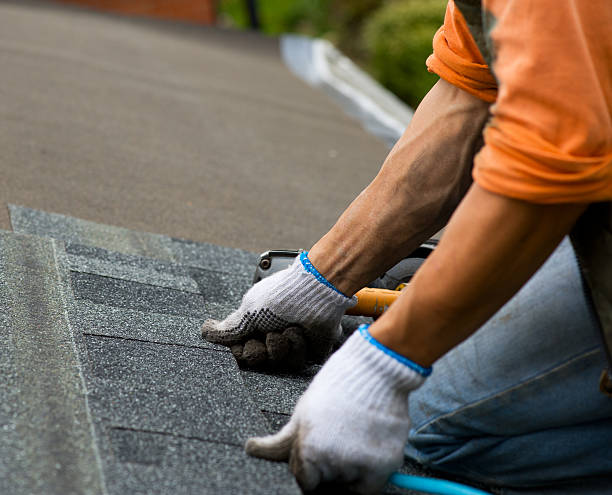 Roof Gutter Cleaning in Decatur, TN