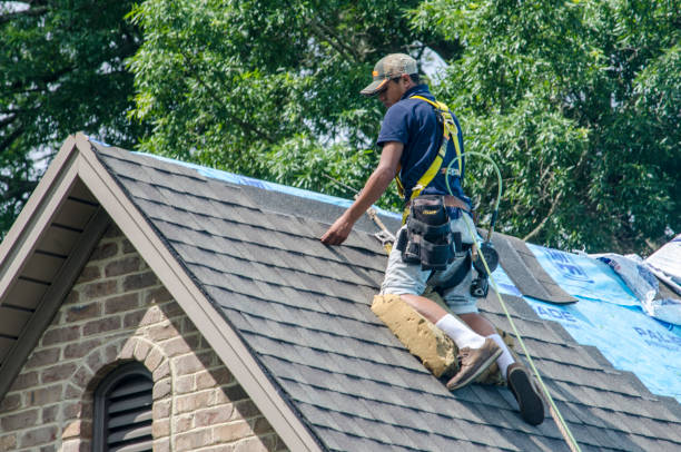 Best Storm Damage Roof Repair  in Decatur, TN